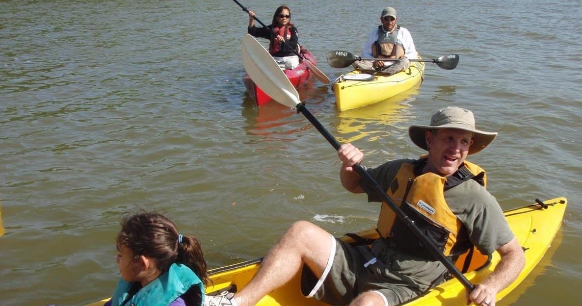 Group kayaking on open Everglades waters, paddling excursion