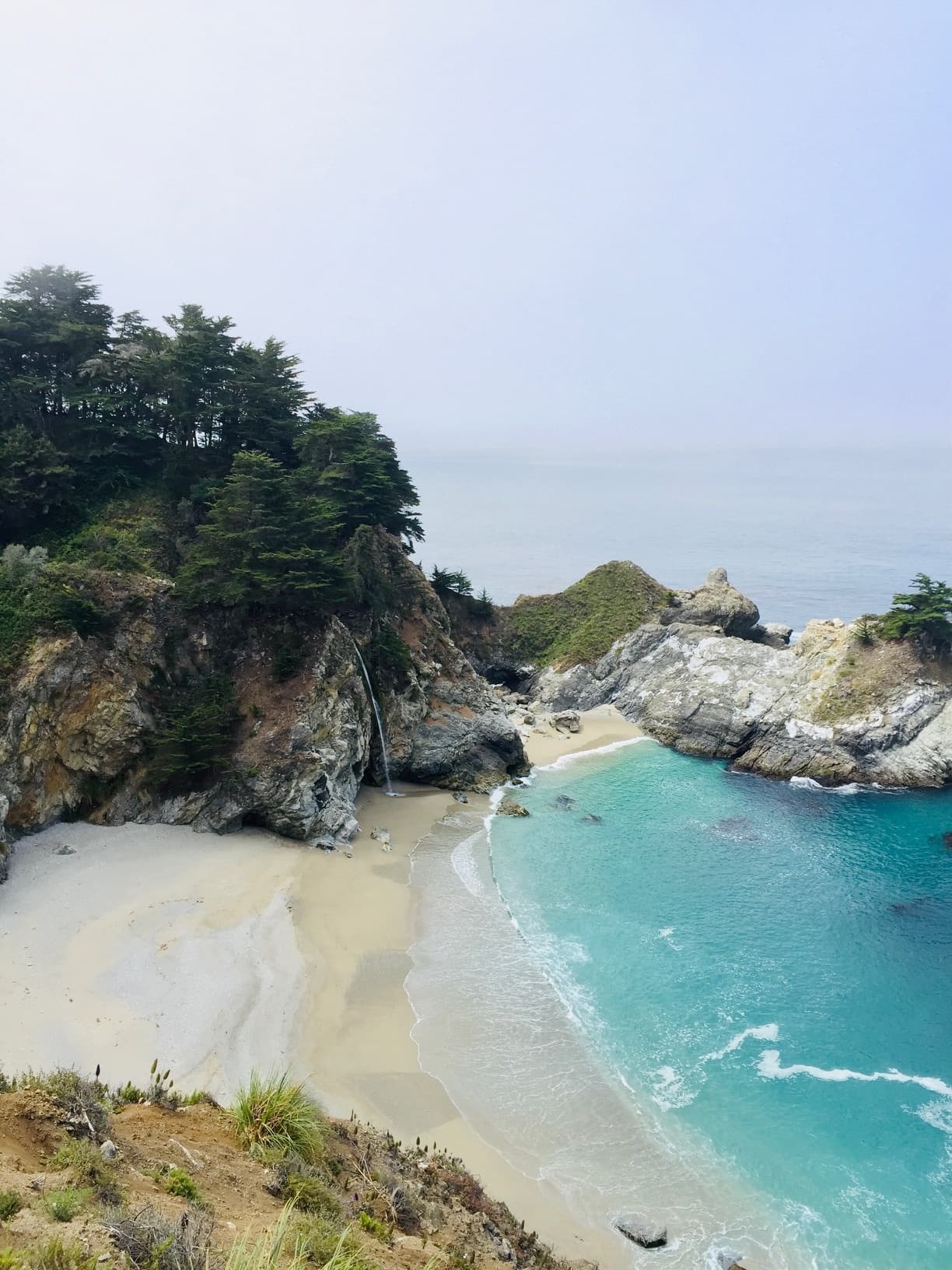 Big Sur Guided Tours: Full Day Hiking Adventure in California