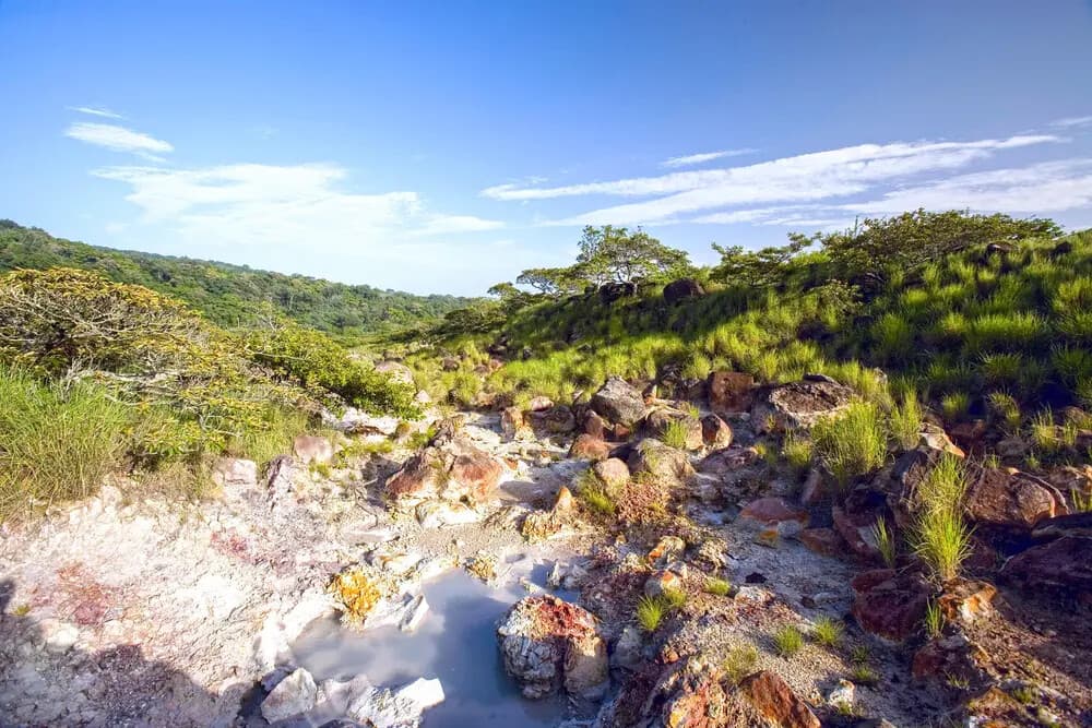 Steaming Trails: Private Hike to Las Pailas in Rincon de la Vieja