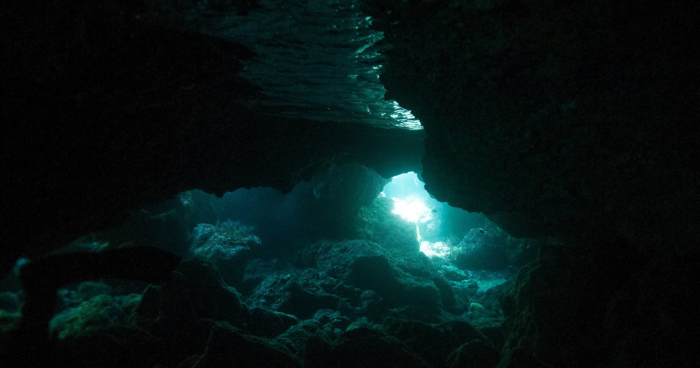 Underwater Diving in Las Palmas with Pura Vida Diving