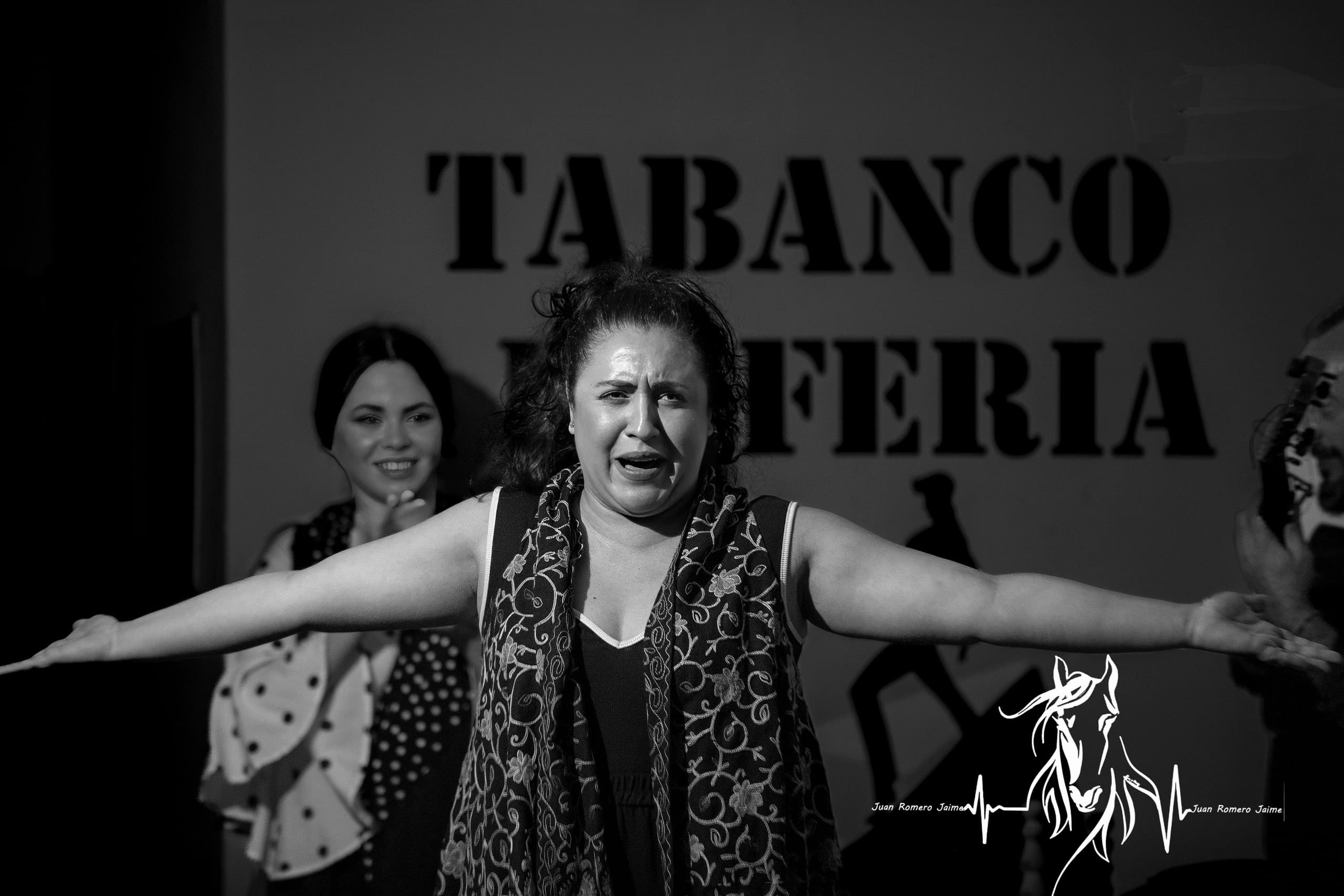 Show y Menú: Flamenco Night & Andalusian Menu in Jerez for €21 photo 1