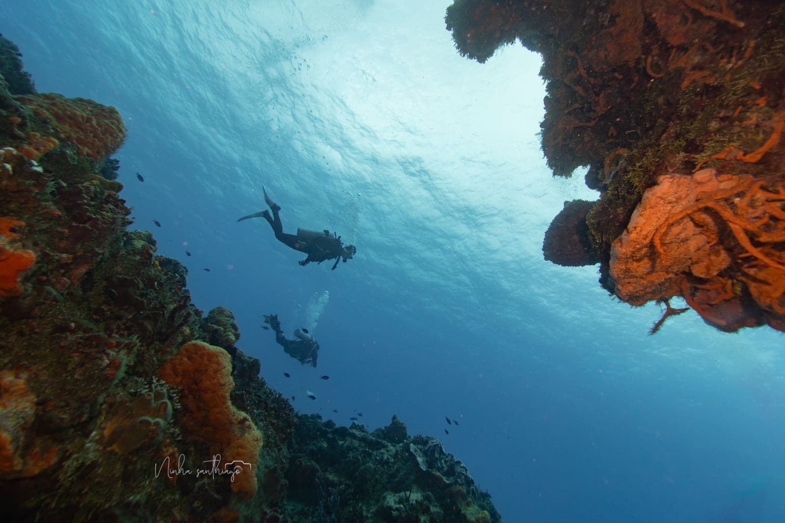 Two-Tank Afternoon Dive Adventure in Cozumel, Mexico