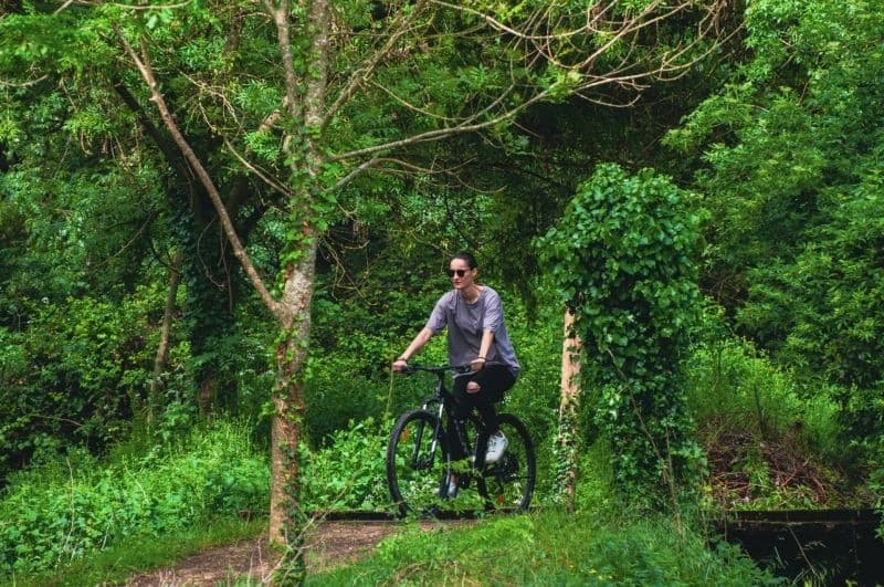 Guided Bike Ride on the White Paths of the Marais Poitevin