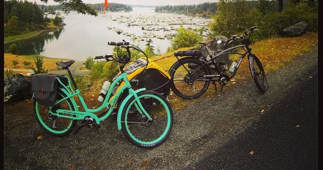 Parked cruiser bikes by marina and waterfront road with trees