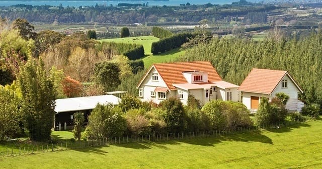 Matakana Village Private Tour: Art, Chocolate & Vineyards a Day Trip from Auckland