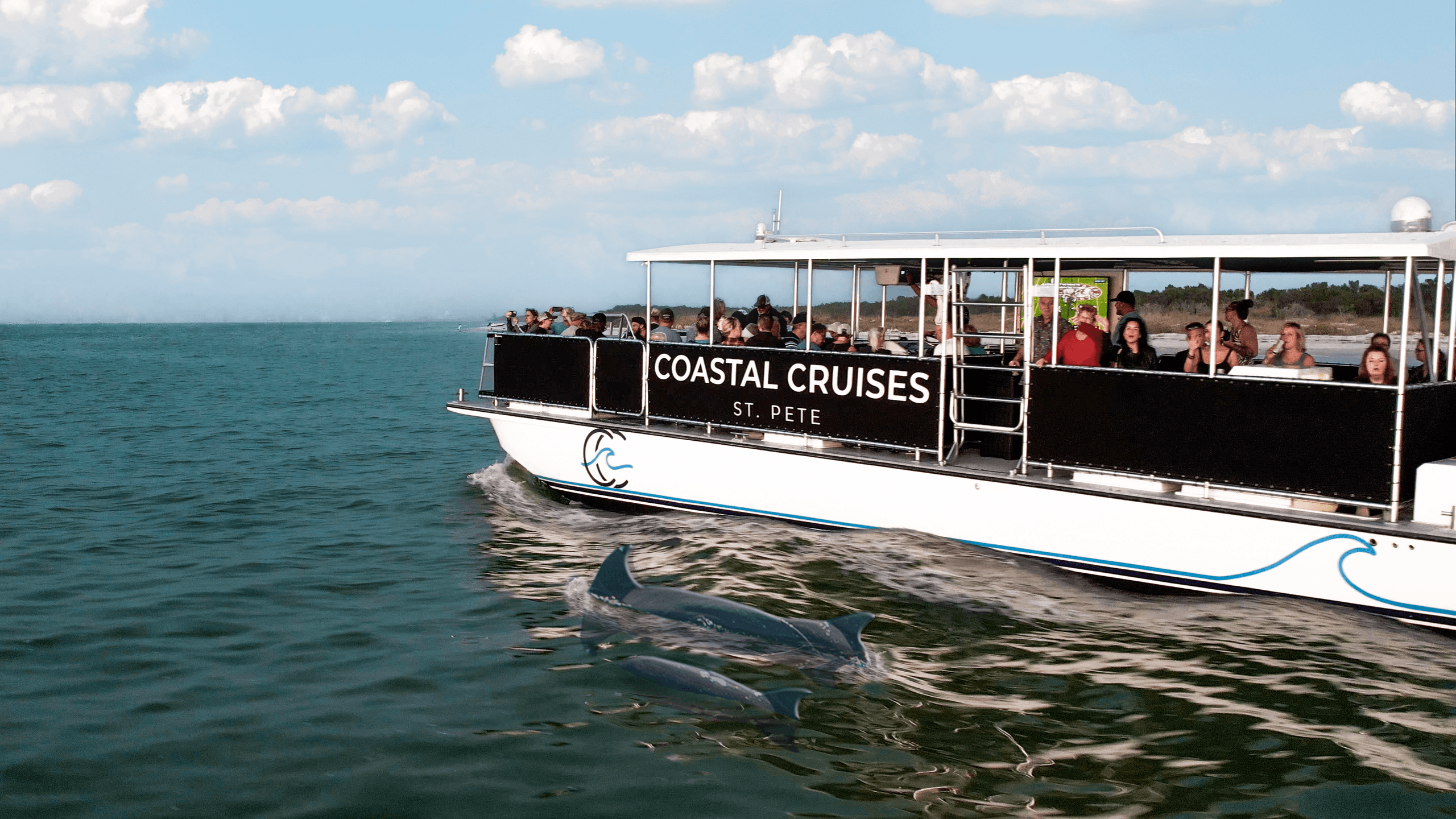 Dolphin Watching & Shelling Adventure in St. Pete: Explore Shell Key Island and Wildlife Cruises