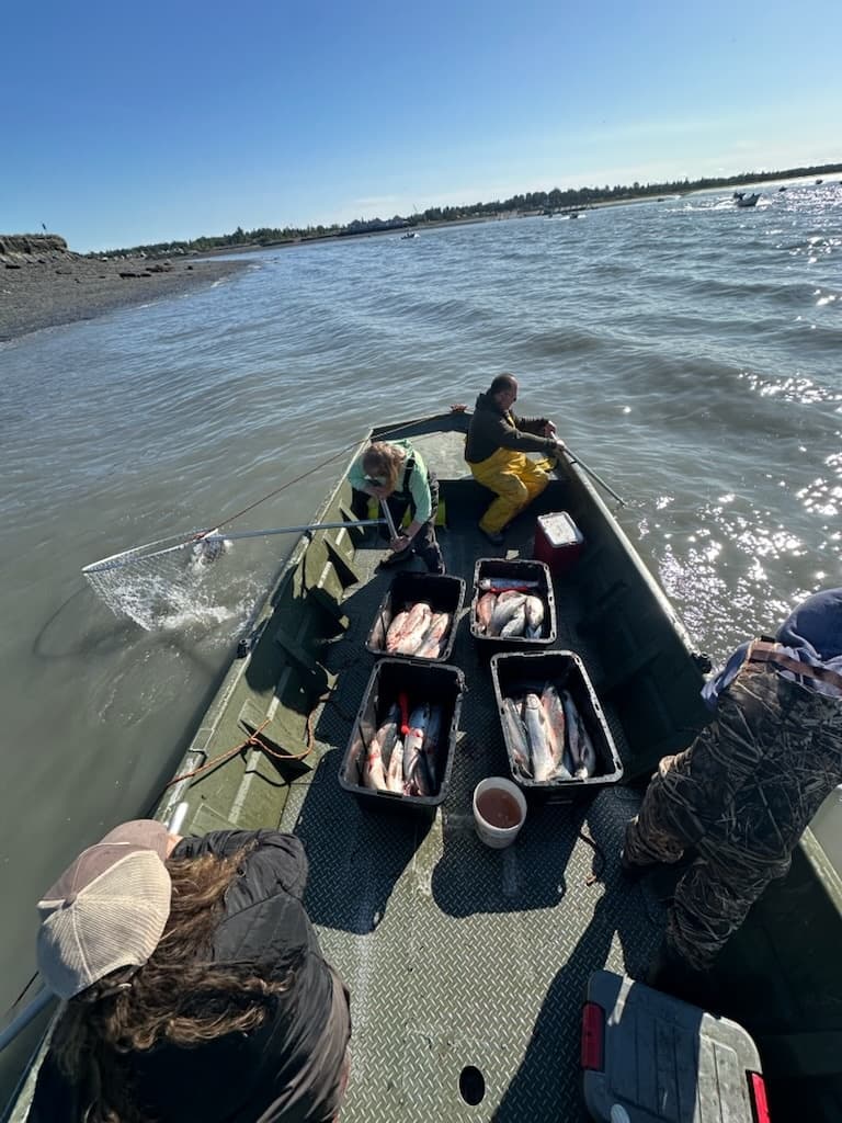 Dipnet the Kenai: 8-Hour Personal-Use Salmon Charters on Kenai and Kasilof Rivers
