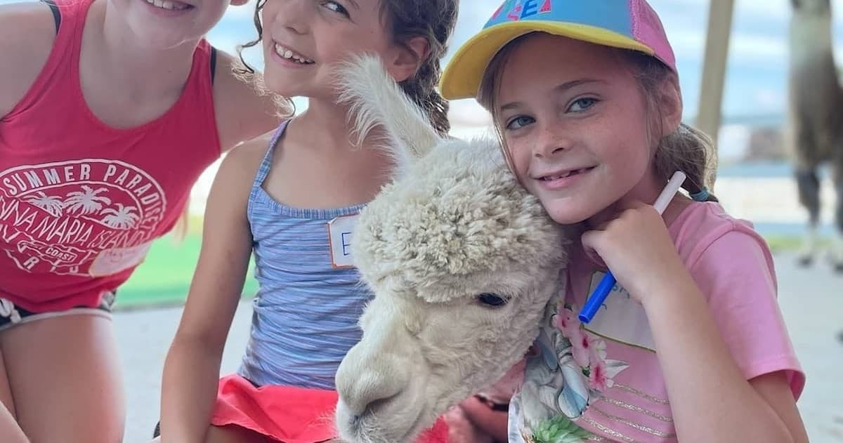 Family Camping & Agricultural Adventure at Eagle Eye Farm