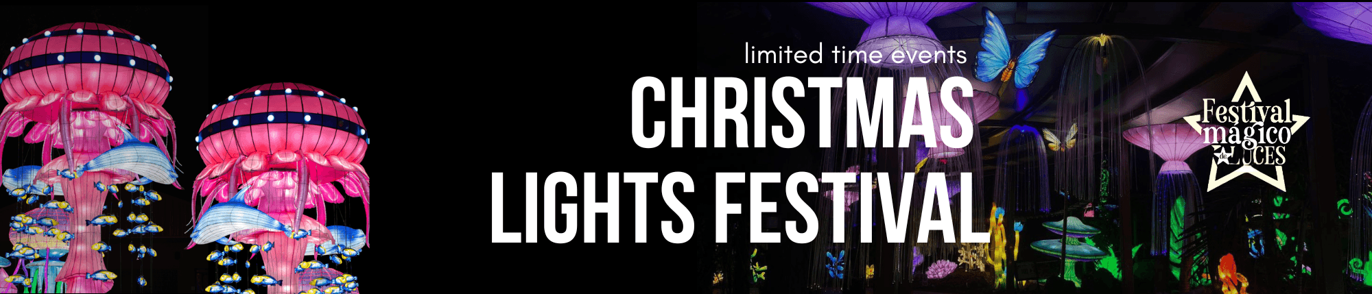 Bayamón Christmas Lights Festival: Puerto Rico’s Glowing Night Celebration photo 1