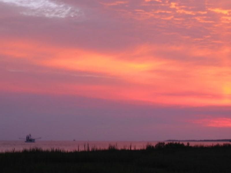 Sunset Dolphin Tour on Tybee Island: Experience Wild Dolphins and Coastal Magic