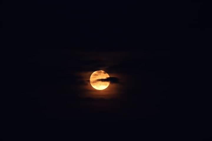 Night Paddle on Lake Wingra: Ghost Stories & Haunted Kayak Tour in Madison photo 2