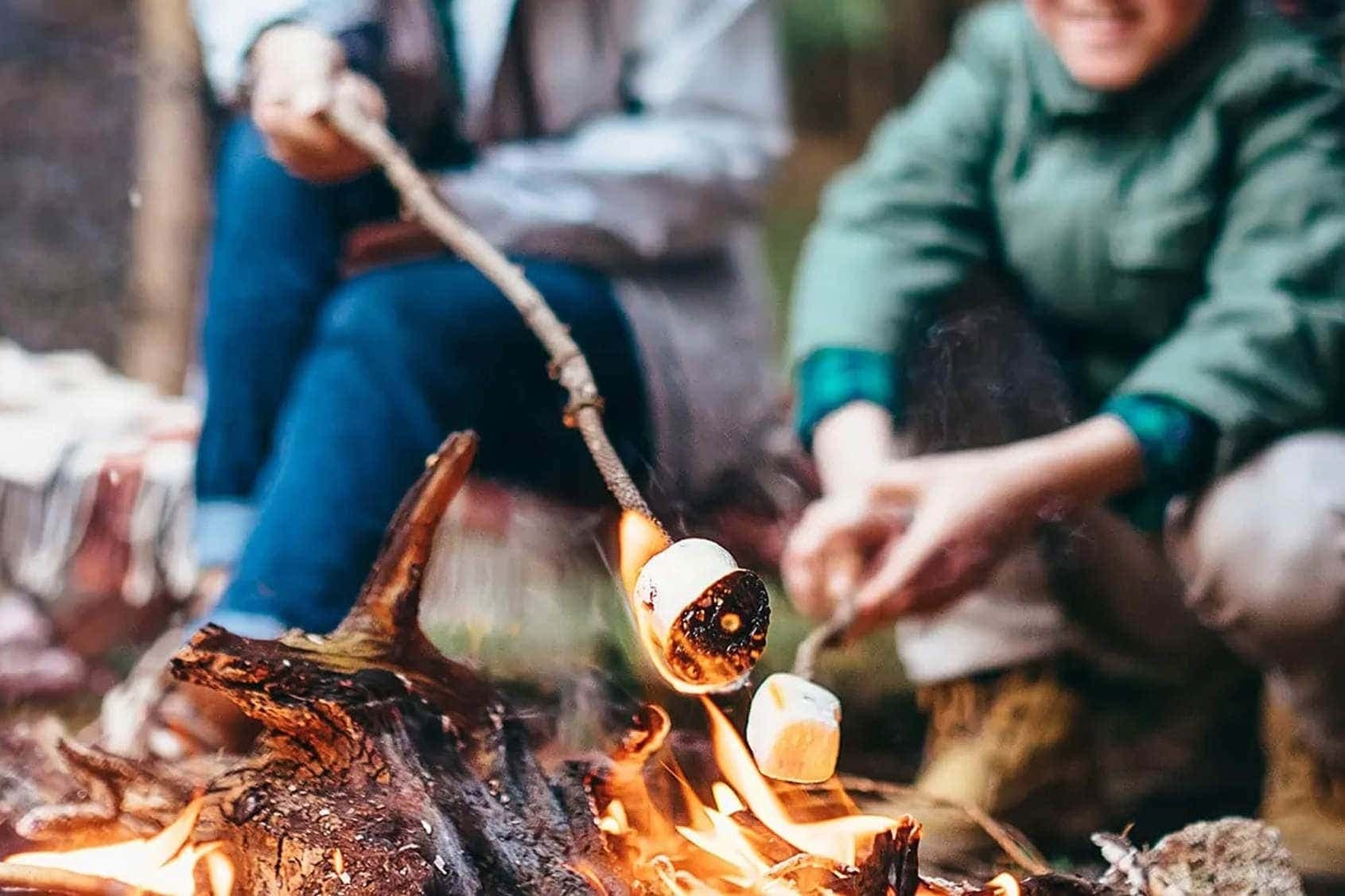 Land-Adventures: Fore Adventure’s Foraging Course