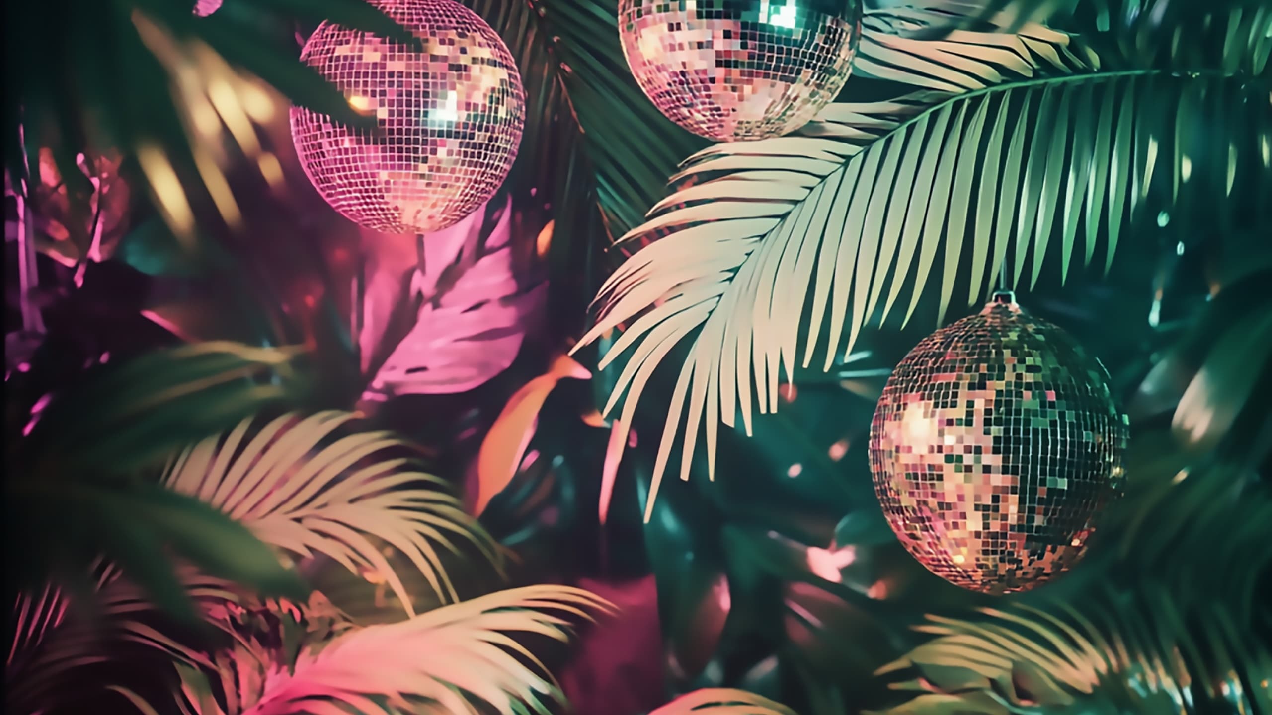 Unwind After Work at the Biosphäre Potsdam’s Tropical After Work Lounge