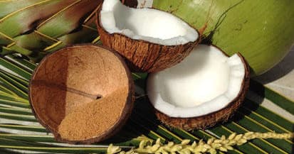 Culinary & Craft Tour at La Maison du Coco