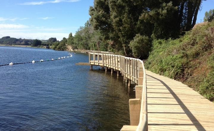 Explore the Karāpiro Bike Trails on a Half-Day Guided Adventure