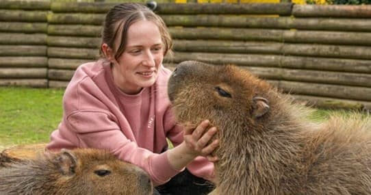 Capybara Cuddle Fridays at Ghost Ranch Exotics — Pet and Feed Capybaras Near Tucson