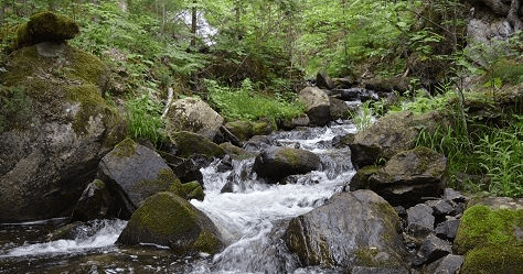 Wilderness Retreat Rentals with Algonquin North Wilderness Outfitter