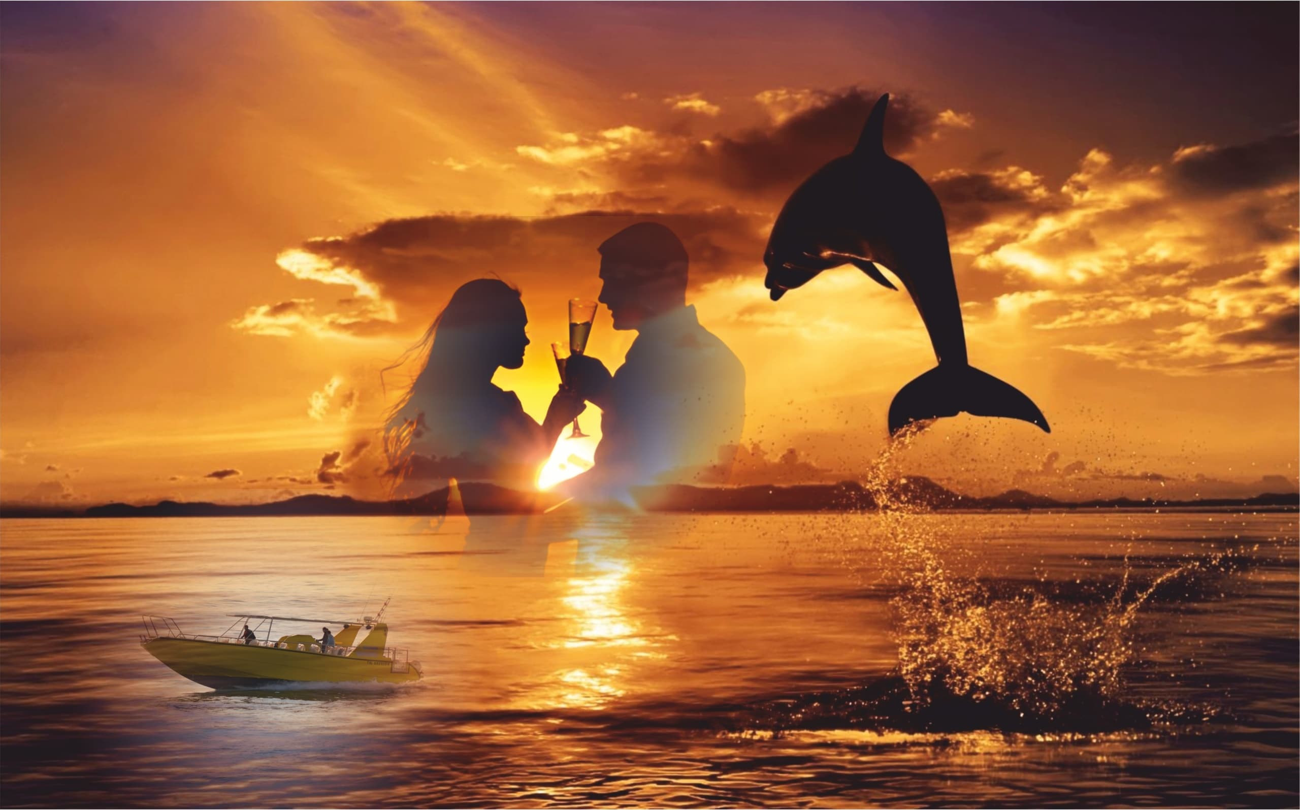 Puesta de sol y delfines | Dolphin in Las Palmas, Gran Canaria