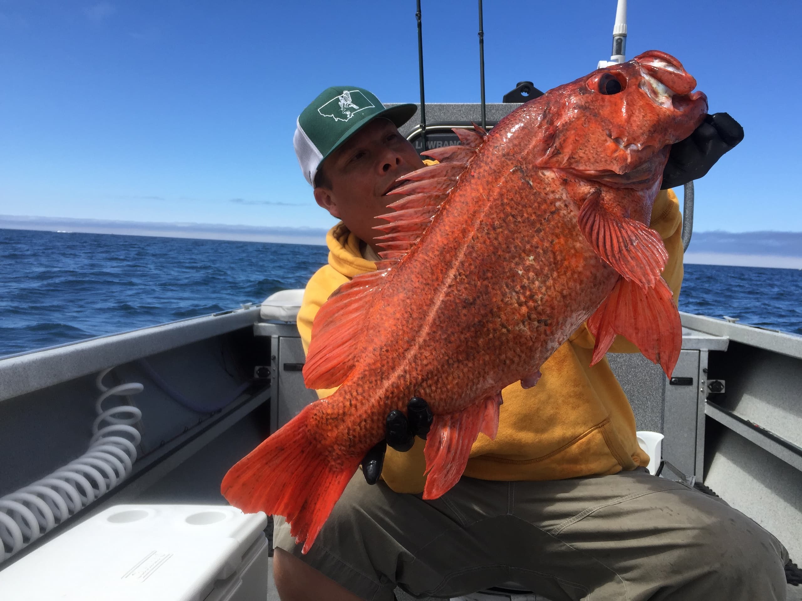 Rockfishing Ling Cod with Western Outfitting in NorCal & Oregon