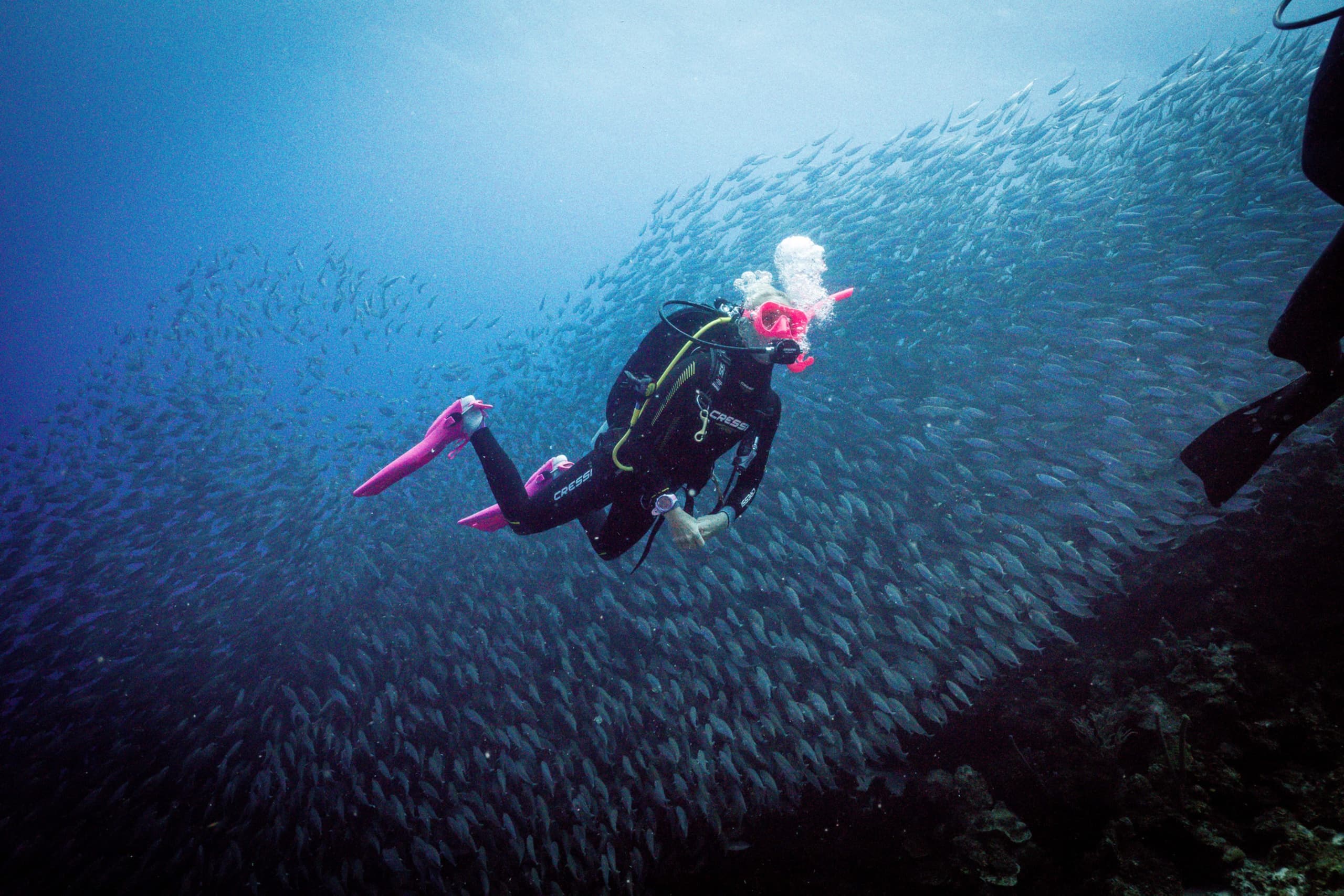 Advanced Adventurer Course: Shore-Based SDI Dives in Port Stephens photo 1