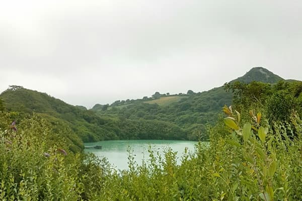Guided Walk Through Cornwall's Clay Country with Lucy Daniel Guide