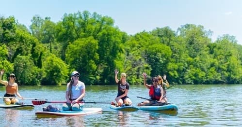 Group paddleboarding on calm river with green treeline