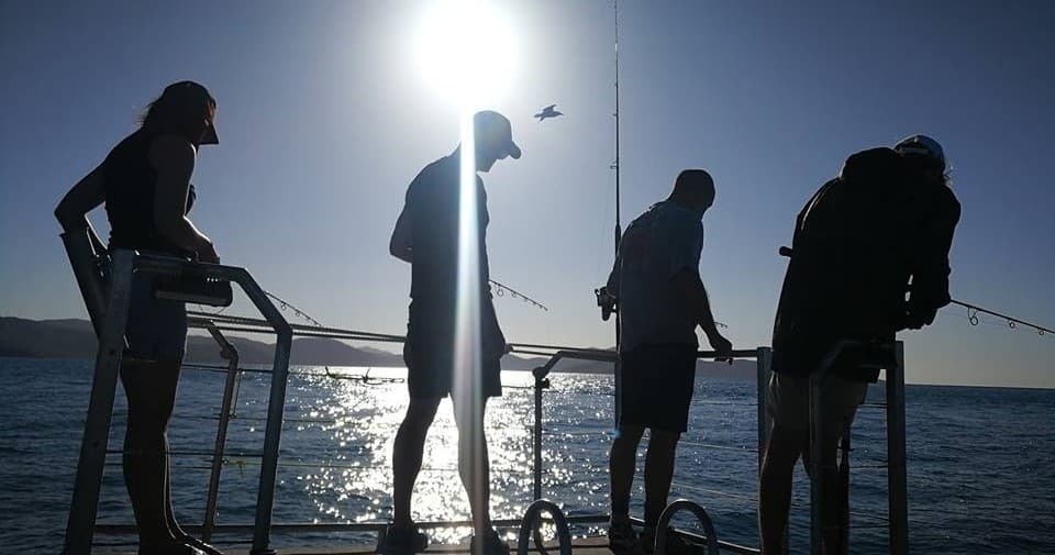 Fishing Adventure at Airlie Beach with Early Bird Charter