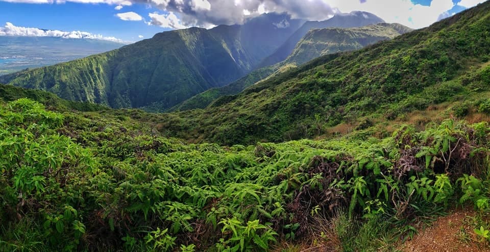 Explore the West Maui Mountains: North Shore Hiking Experience in Hawaii
