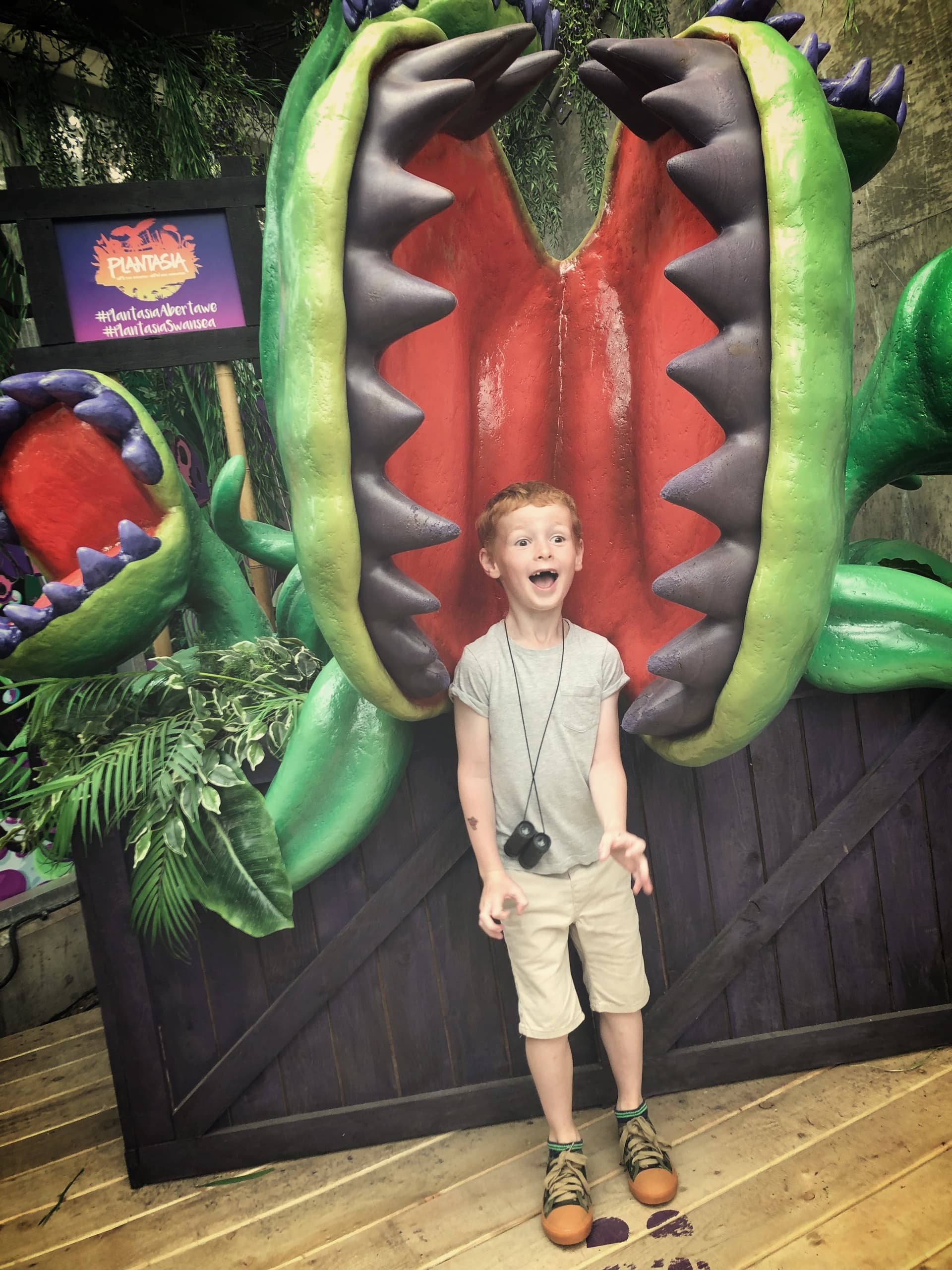 Tropical Zoo Adventure at Plantasia Swansea
