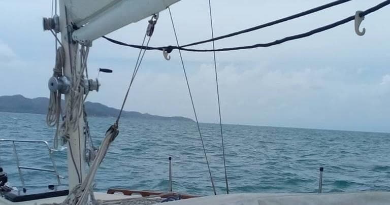 Casual Fare Sailing Charters Townsville fleet