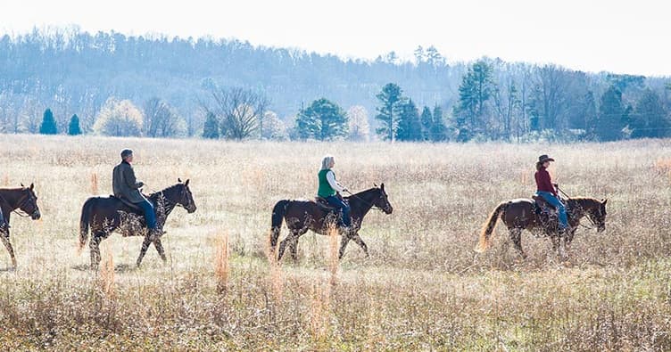 Savor Tuscany in North Georgia: An Authentic Tuscan Wine Dinner Experience at Barnsley Resort
