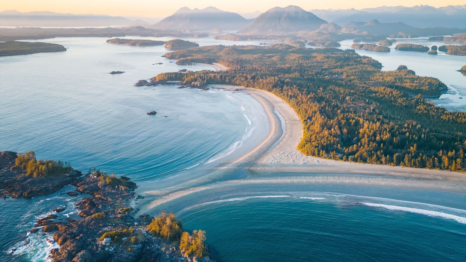 Sweeping aerial shoreline curve with green forest and sand