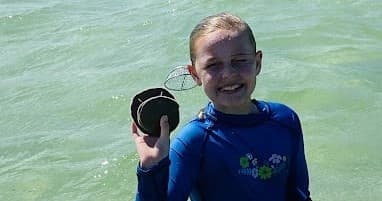 Egmont Key Snorkeling and Shelling Adventure from Holmes Beach