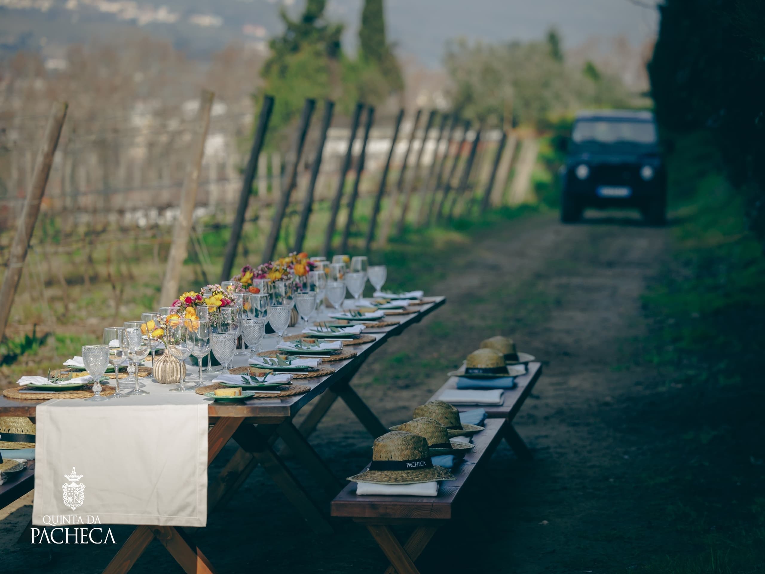 Douro Valley Adventure at Quinta da Pacheca, Lamego