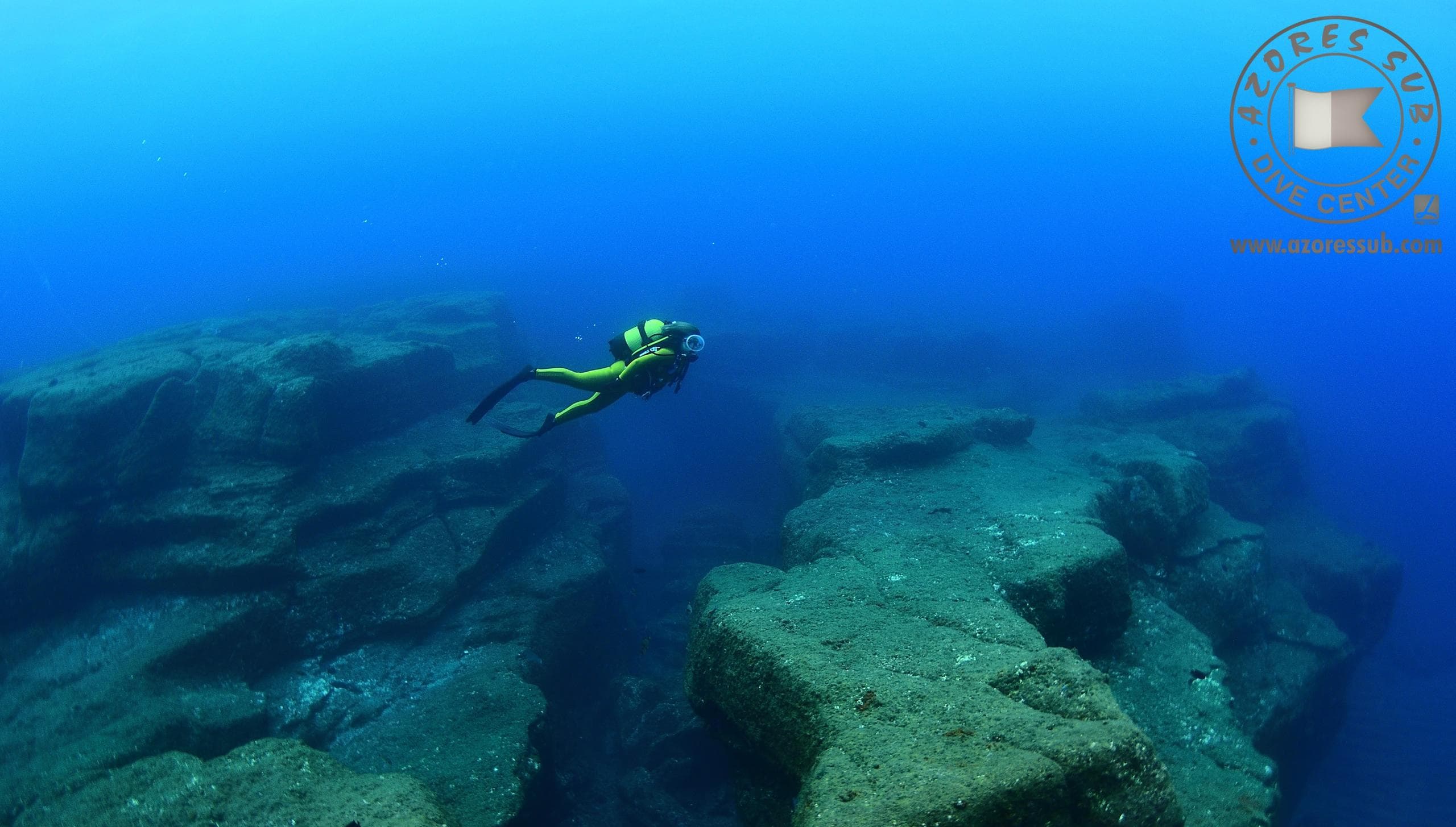 Diving Adventure in São Miguel with Azores Sub, Lda