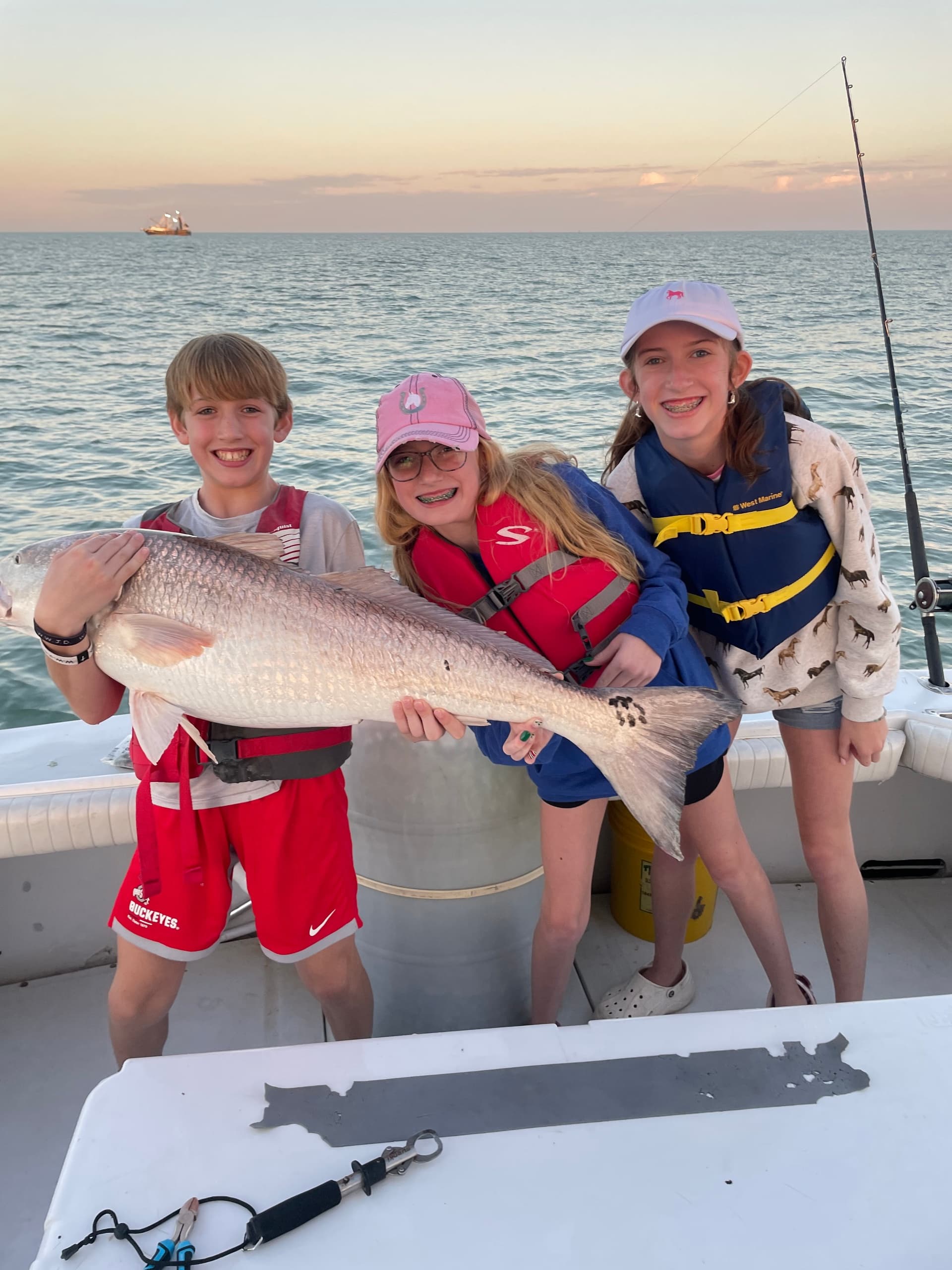 Afternoon Nearshore Shark Fishing from Port Canaveral