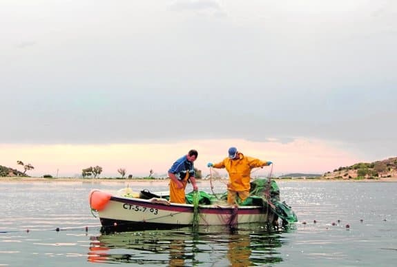 Half-Day Fishing Charter on the Mar Menor: Private Guided Sportfishing from Lo Pagán