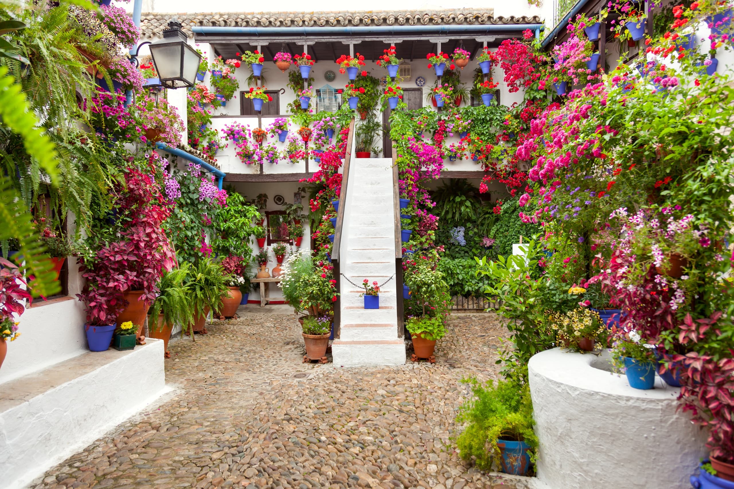 Patios de Córdoba Guided Tours with OWAY Tours