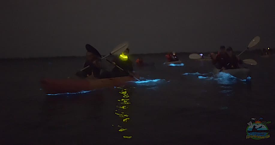 Florida Bioluminescent Clear Kayaking Tour in Titusville