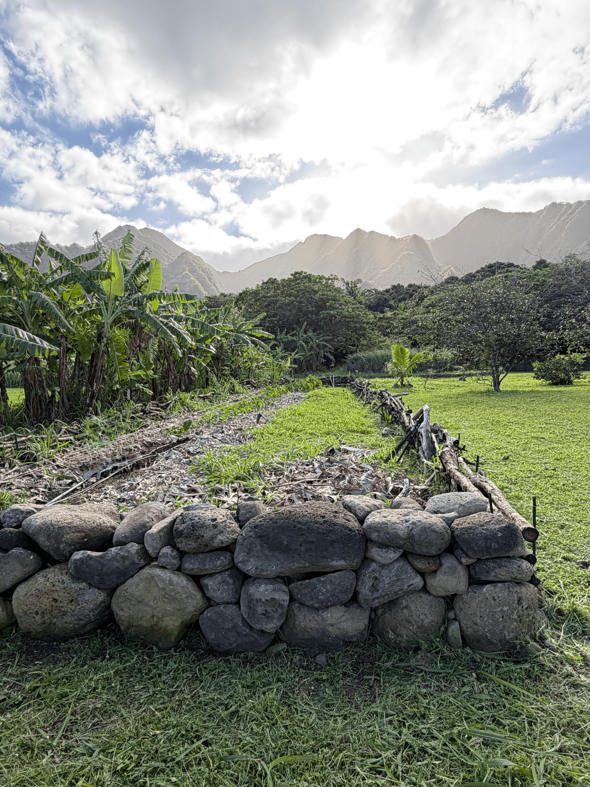 Hands-On Hawaiian Stonecraft at Kaluanui: Uhau Humu Pohaku Community Workday photo 1
