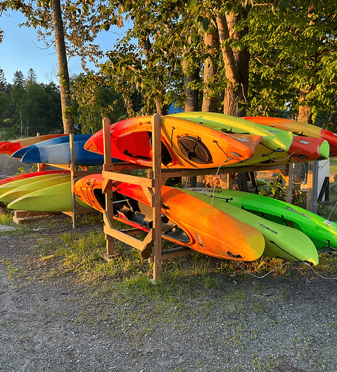 Bright kayaks racked near pine trees at a lakeside outfitter