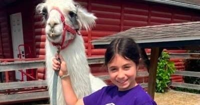 Family Fun with Animals at Land of Little Horses Gettysburg