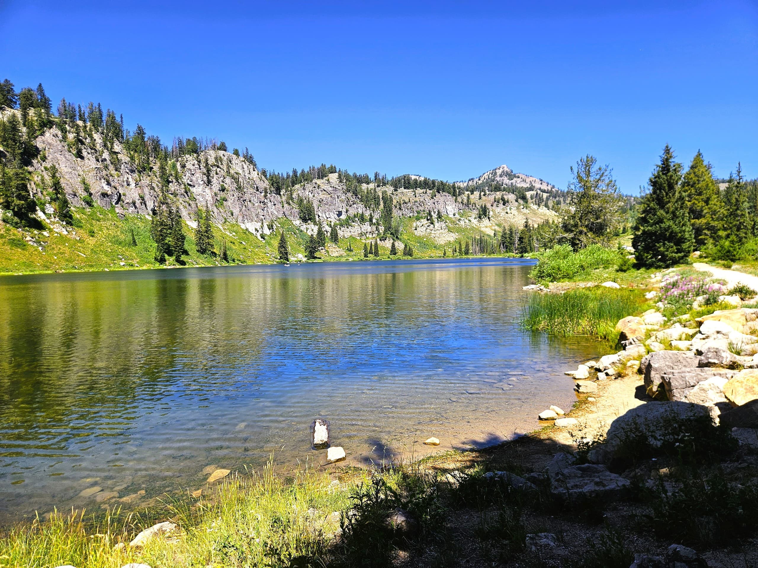 Drive a Classic to Tony Grove Lake: High Country Alpine Tour Through Logan Canyon