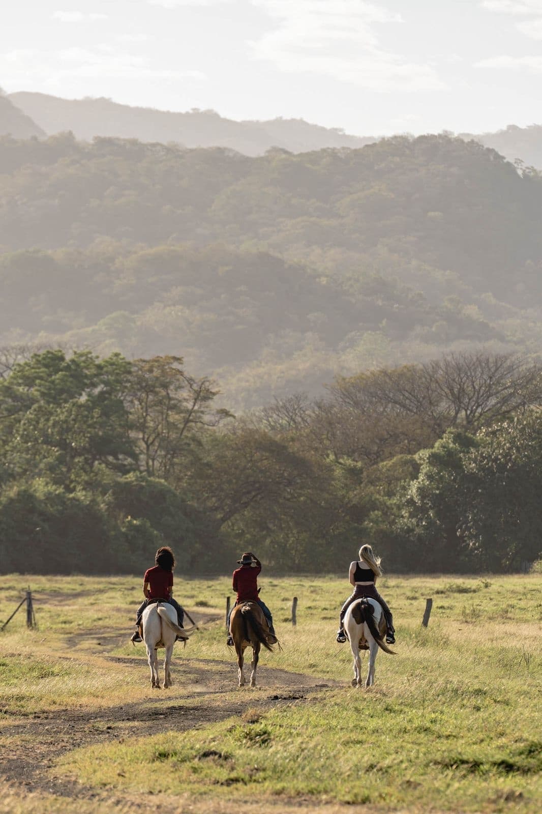 Ride & Fly: Horseback and Canopy Adventure at Hacienda La Norma, Guanacaste photo 1