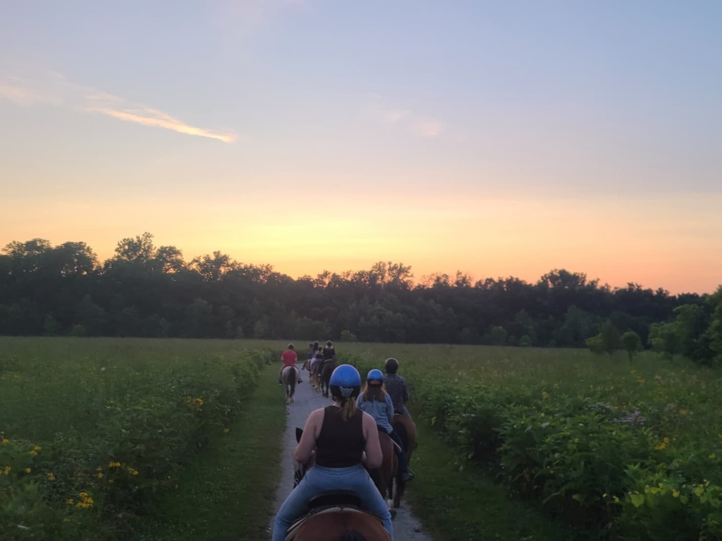 Land Adventures at BRF Stables: Sunset Ride Experience