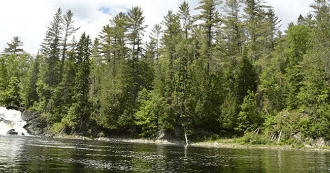 Wilderness Camping at Kiosk Campground with Algonquin North