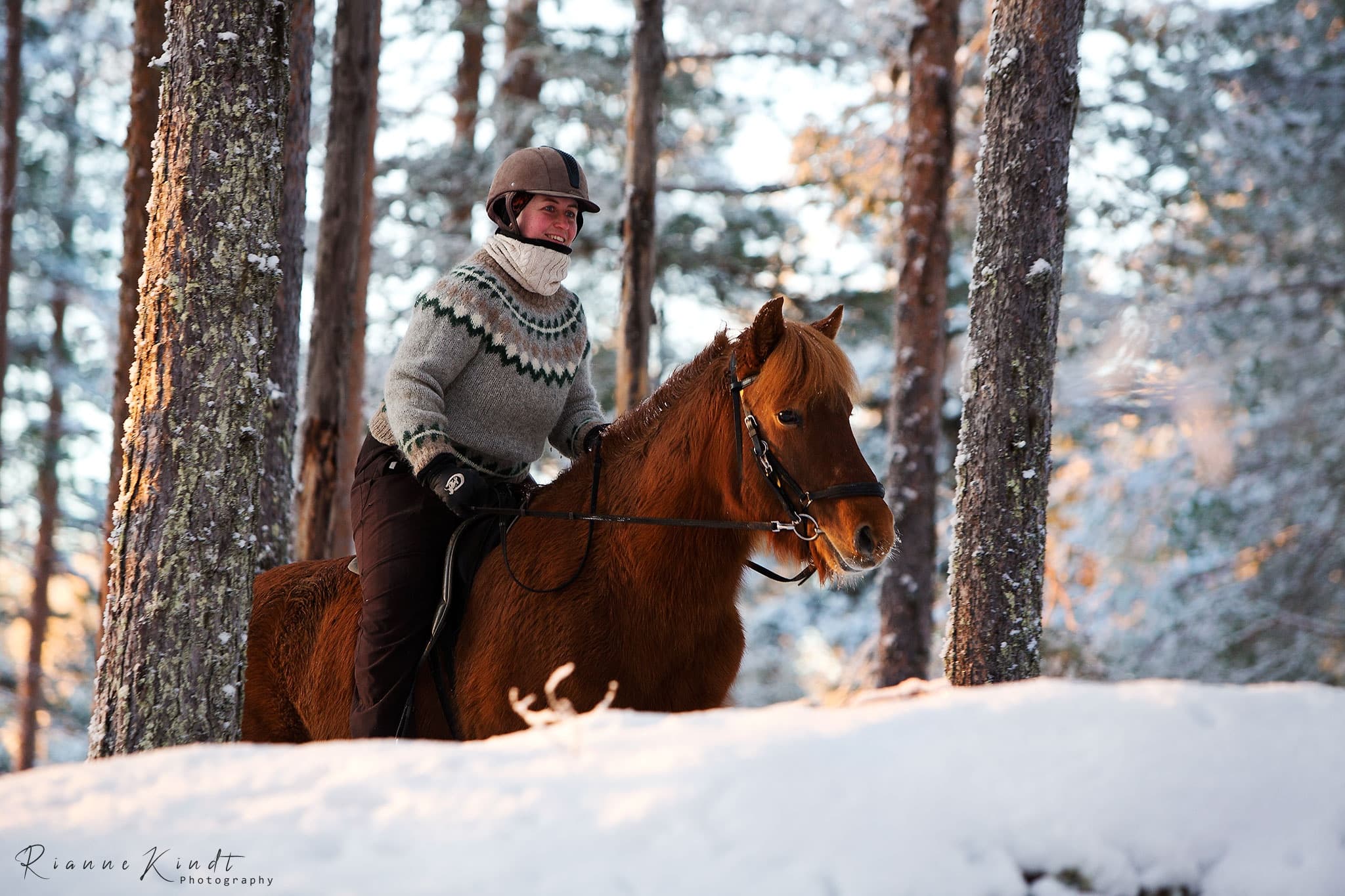 Rider trotting chestnut horse through snowy pine forest