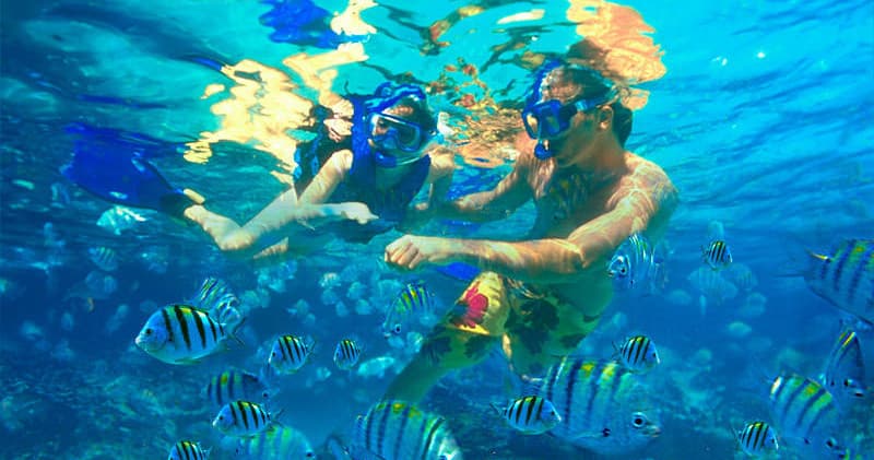 Bioluminescent Bay Tours with Hook'd on Adventure Parguera