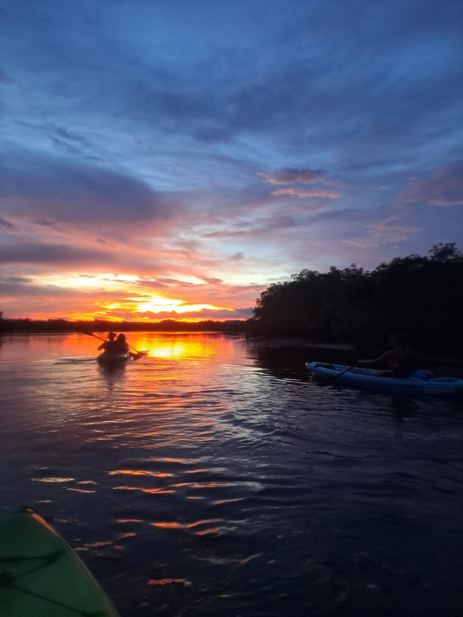 Sunset Kayaking with River Wild Kayaking LLC in Tarpon Springs