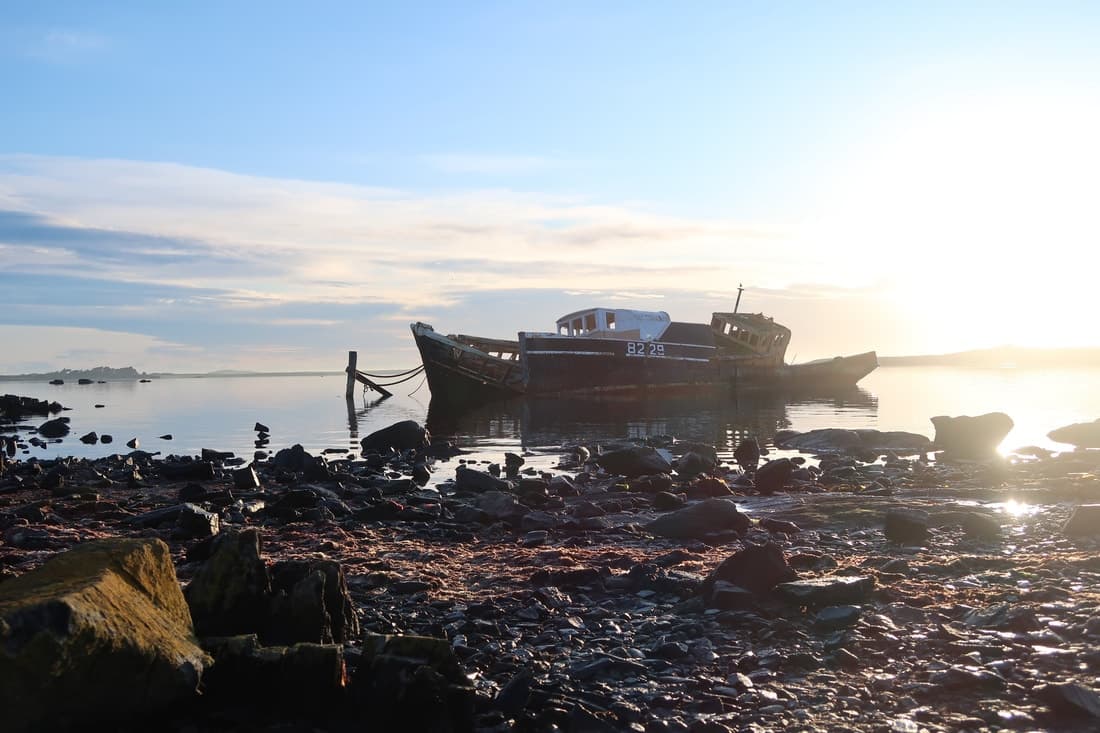 Outdoor Adventure in Bluff: The Bluff Half Day Tour by Catch-a-Bus South